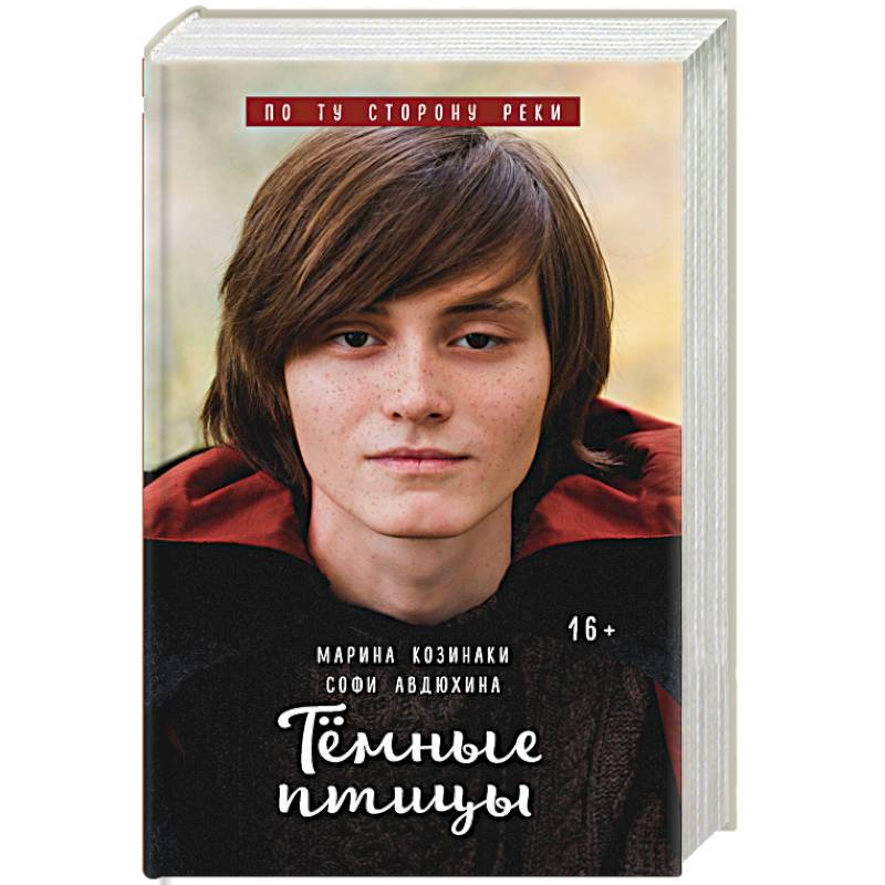 Тёмные птицы