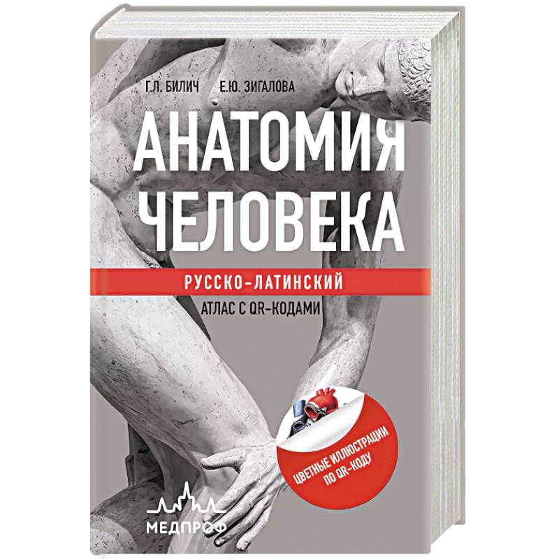 Анатомия человека: Русско-латинский атлас с QR-кодами Анатомия человека: Русско-латинский атлас с QR-кодами