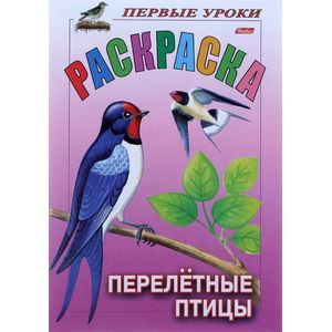 Конспект НОД по рисованию и раскрашиванию «Птицы на кормушке» в старшей группе