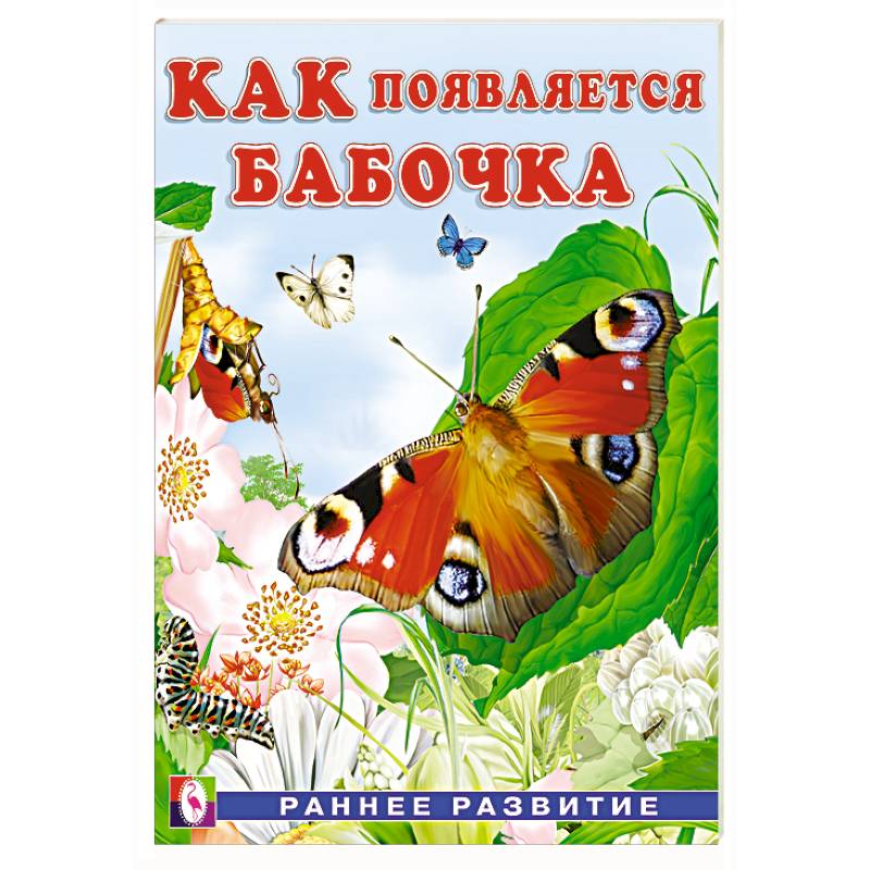 Как появляется бабочка