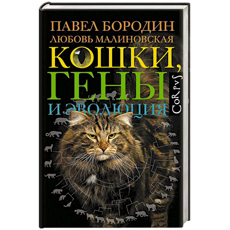Кошки, гены и эволюция