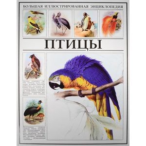 Птицы. Большая иллюстрированная энциклопедия Птицы. Большая иллюстрированная энциклопедия