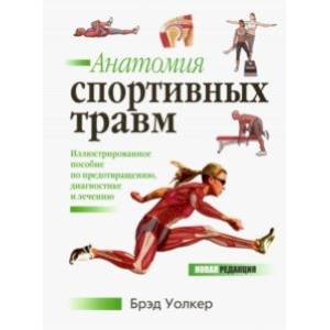 Анатомия спортивных травм Анатомия спортивных травм