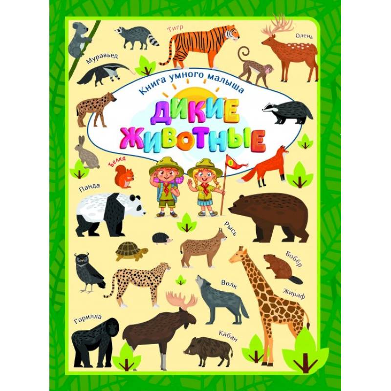 Дикие животные Дикие животные