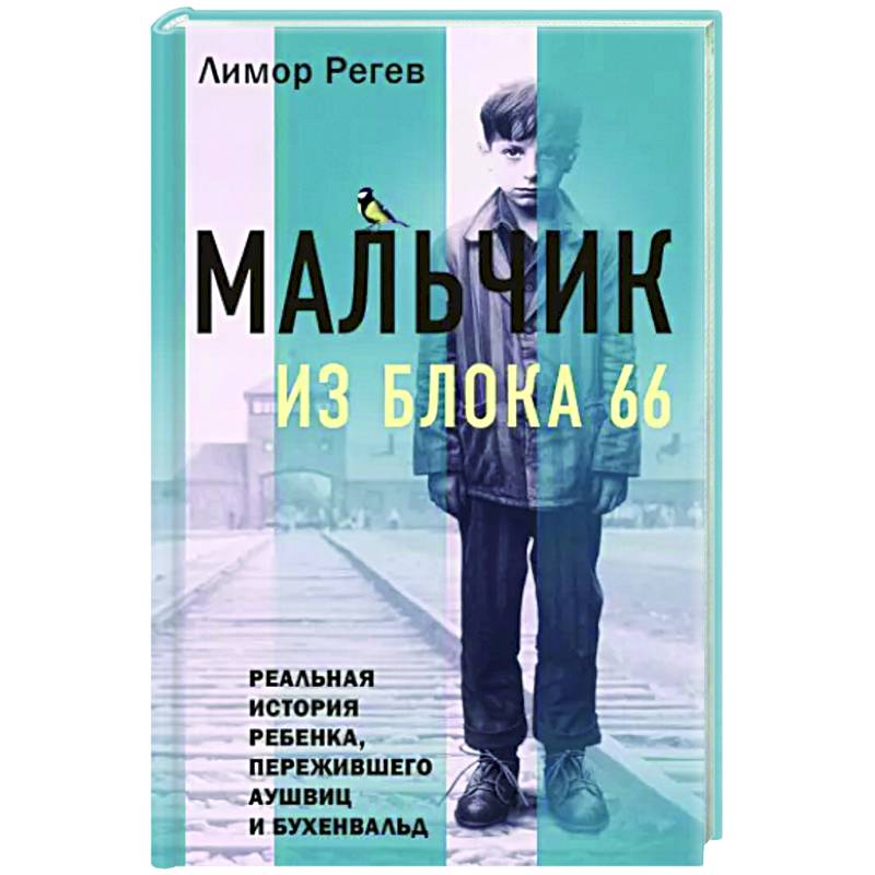 Мальчик из Блока 66. Реальная история ребенка, пережившего Аушвиц и Бухенвальд Мальчик из Блока 66. Реальная история ребенка, пережившего Аушвиц и Бухенвальд