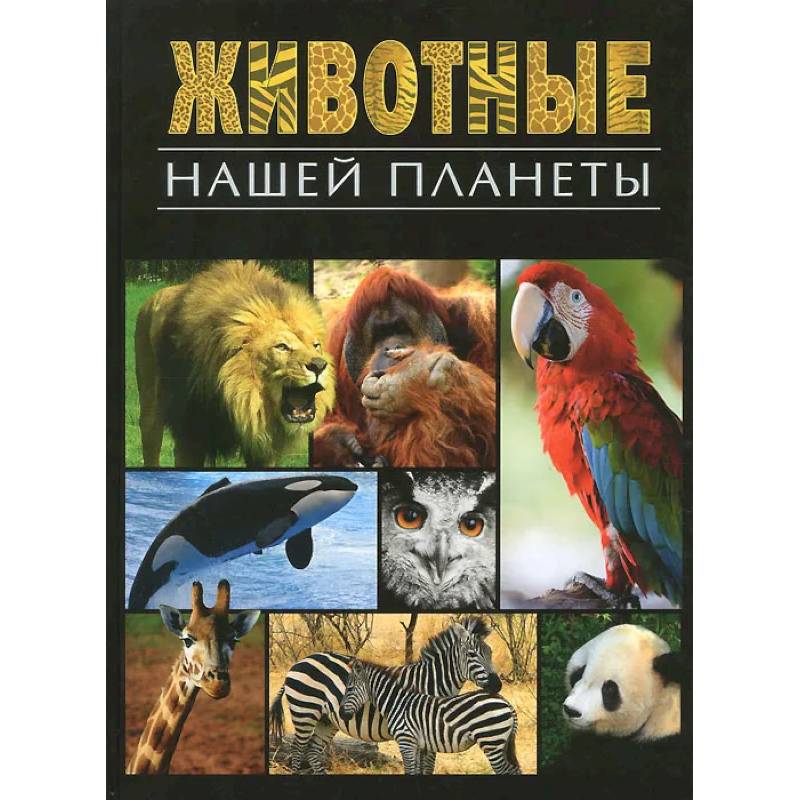 Animals books. Книга животные нашей планеты. Энциклопедия животные нашей планеты. Книги о животных. Книга в мире животных.