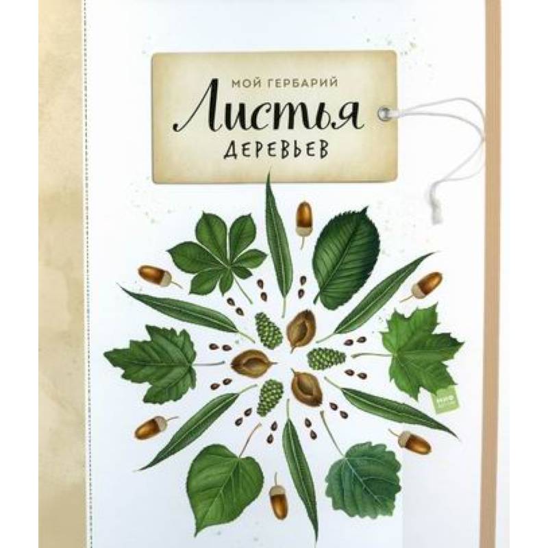 Мой гербарий. Листья деревьев Мой гербарий. Листья деревьев