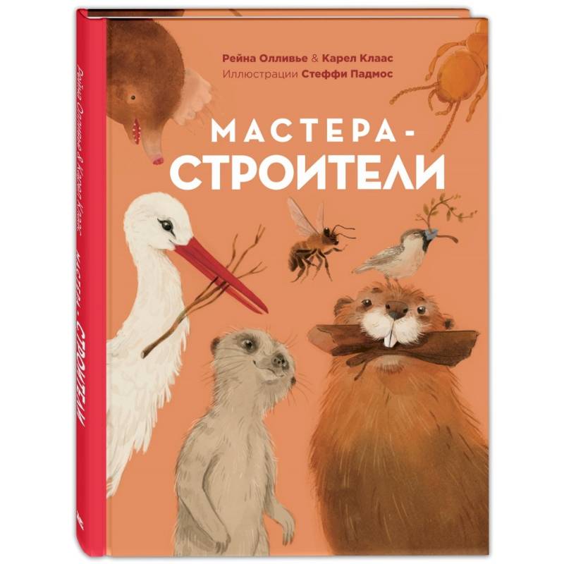 Мастера-строители. Мастера-строители.