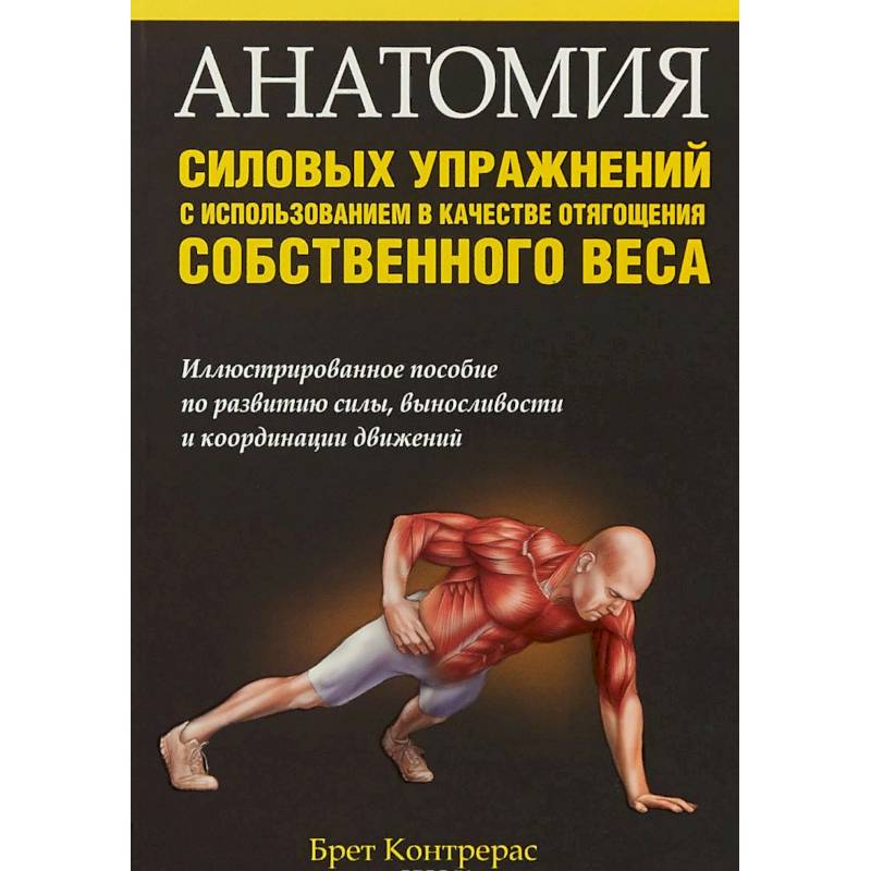 Анатомия силовых упражнений с использованием в качестве отягощения собственного веса Анатомия силовых упражнений с использованием в качестве отягощения собственного веса