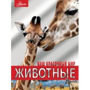 Животные Животные