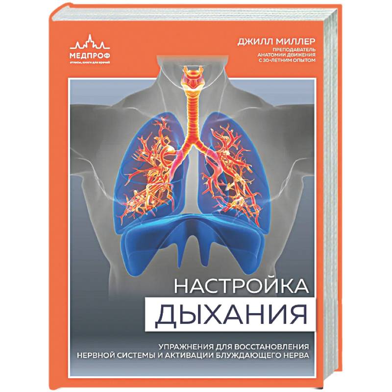 Настройка дыхания. Упражнения для восстановления нервной системы и активации блуждающего нерва