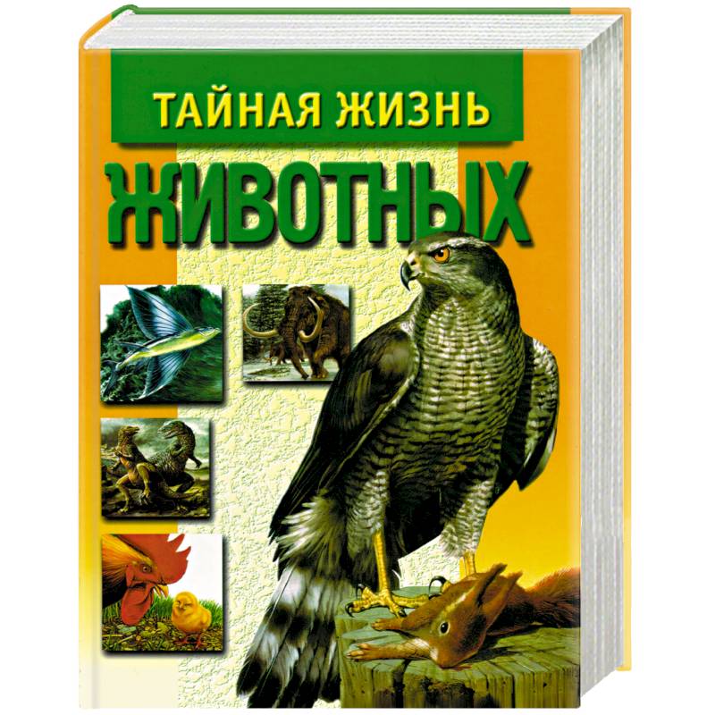 Жизнь животных том 1. Энциклопедии о природе для детей. Большая энциклопедия природы. Большая энциклопедия природы для детей. Большая энциклопедия природы книга.