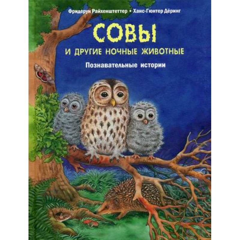 Совы и другие ночные животные Совы и другие ночные животные