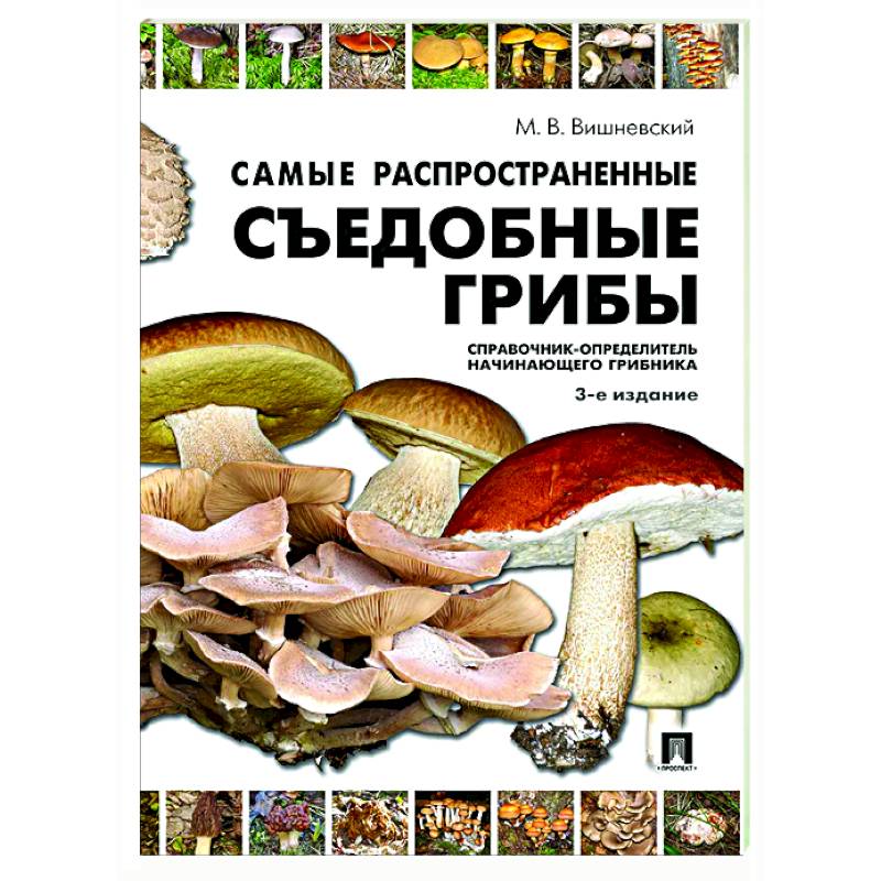 Самые распространенные съедобные грибы. Справочник-определитель начинающего грибника Самые распространенные съедобные грибы. Справочник-определитель начинающего грибника