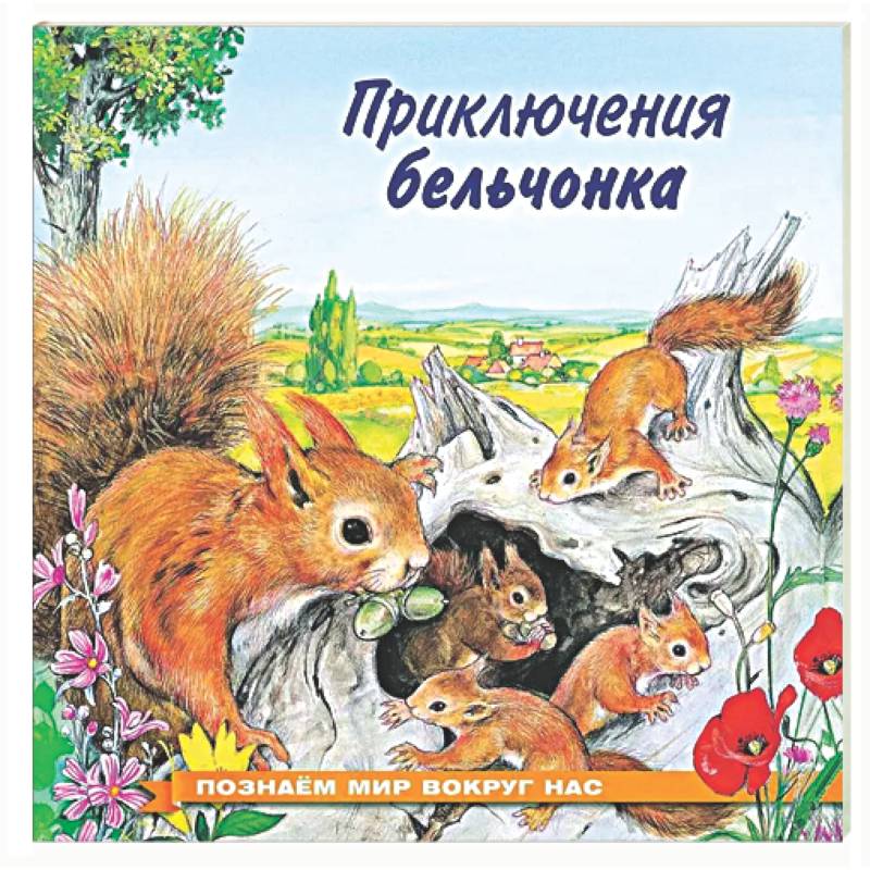 Приключения бельчонка