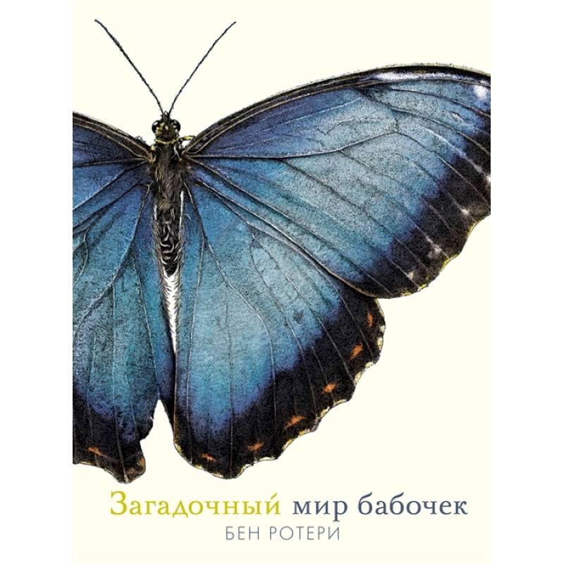 Загадочный мир бабочек Загадочный мир бабочек