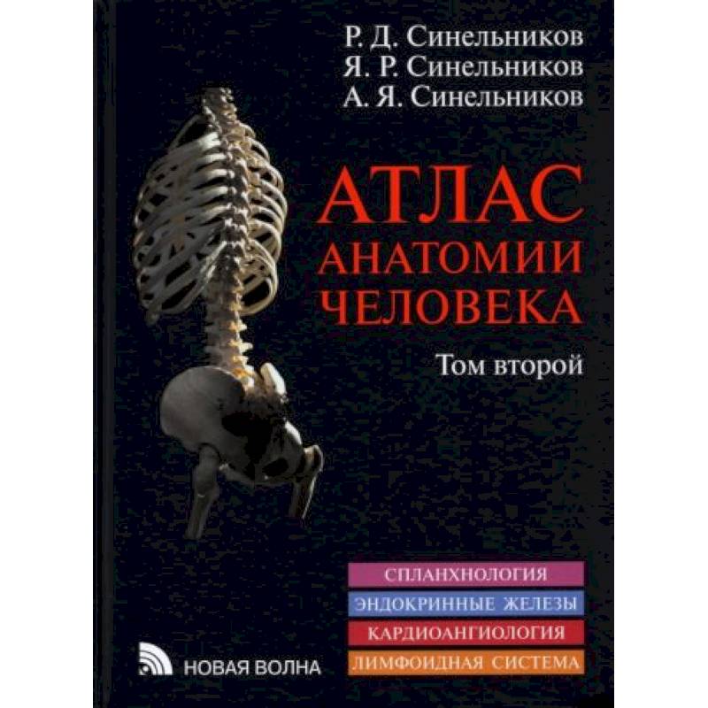 Атлас анатомии человека. В 3-х томах. Том 2 Атлас анатомии человека. В 3-х томах. Том 2