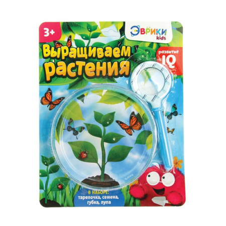 Набор для опытов «Выращиваем растение»: лупа, семена, тарелка, губка
