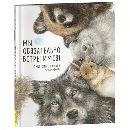 Проза для детей, книга Мы обязательно встретимся!