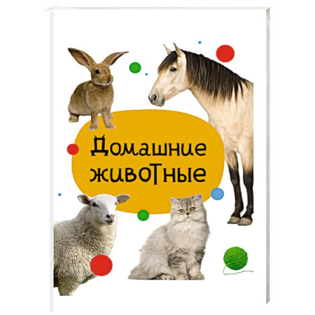 Познавательная литература, книга Домашние животные