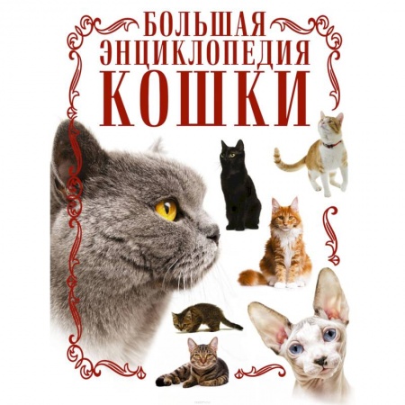 Уход за животными, книга Кошки. Большая энциклопедия