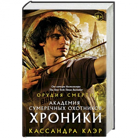 Фантастика, фэнтези, книга Академия Сумеречных охотников. Хроники