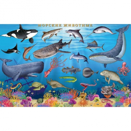 Учителям, педагогам, воспитателям, книга Морские животные. Цифры и факты. Настольное издание