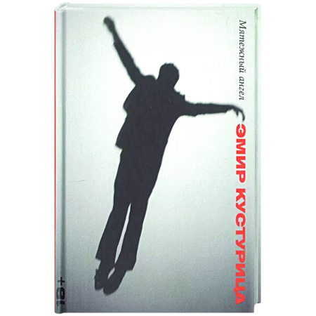 Классика, современная литература, книга Мятежный ангел