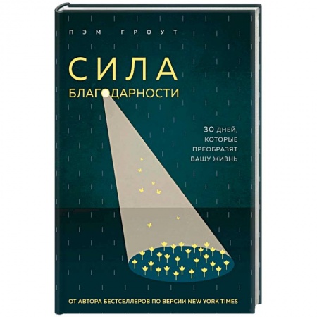 Общественные и гуманитарные науки, книга Сила благодарности. 30 дней, которые преобразят вашу жизнь