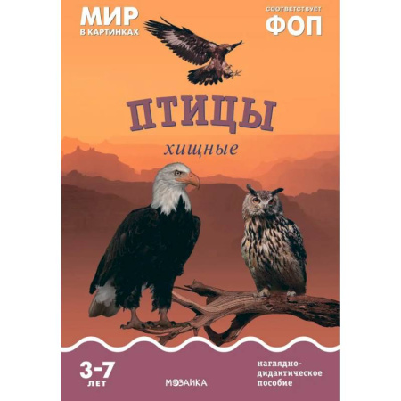 Познавательная литература, книга Птицы хищные: Наглядно-дидактическое пособие