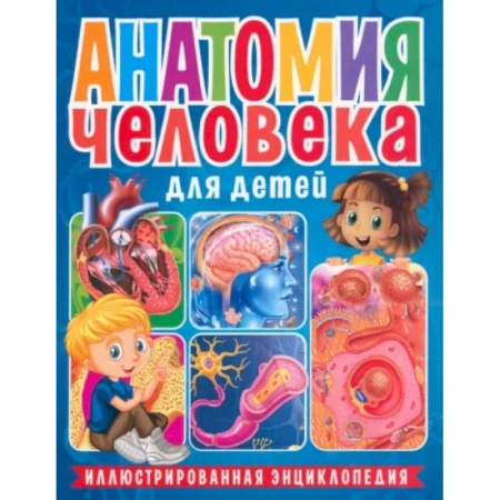 Познавательная литература, книга Анатомия человека для детей. Иллюстрированная энциклопедия