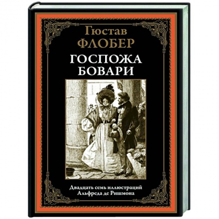 Классика, современная литература, книга Госпожа Бовари