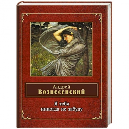 Книги, книга Я тебя никогда не забуду