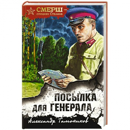 Детективы, триллеры, книга Посылка для генерала
