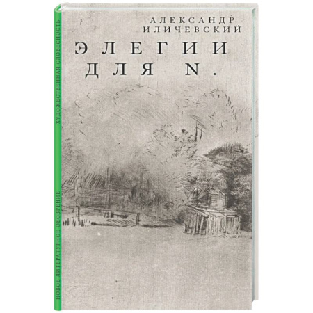 Классика, современная литература, книга Элегии для N