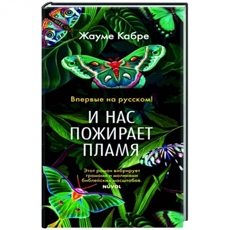 Классика, современная литература, книга И нас пожирает пламя