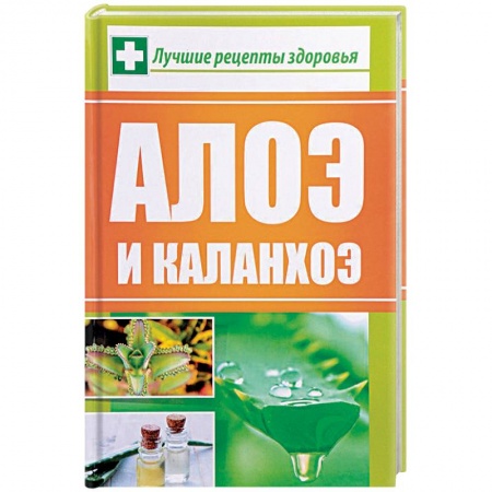 Популярная и нетрадиционная медицина, книга Алоэ и каланхоэ. Лучшие рецепты здоровья