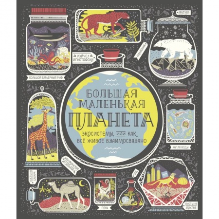 Познавательная литература, книга Большая маленькая планета. Экосистемы, или Как всё живое взаимосвязано