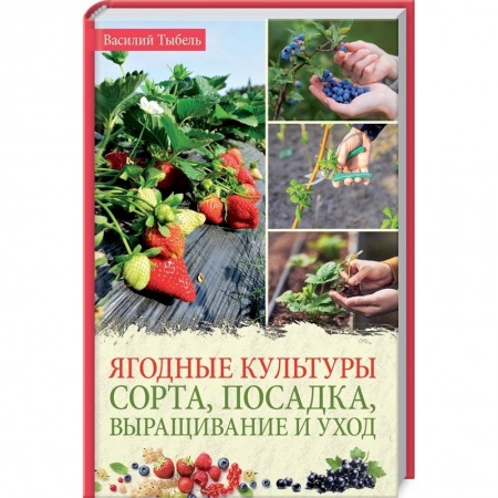 Сад, огород, цветы, дизайн участка, книга Ягодные культуры. Сорта, посадка, выращивание и уход