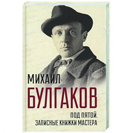 Мемуары, биографии, книга Под пятой. Записные книжки Мастера