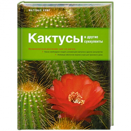 Книги, книга Кактусы и другие суккуленты