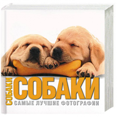 Книги, книга Собаки. Самые лучшие фотографии