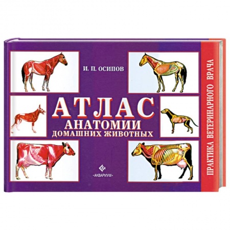 Книги, книга Атлас анатомии домашних животных