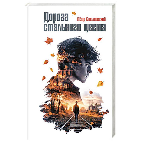 Проза для детей, книга Дорога стального цвета
