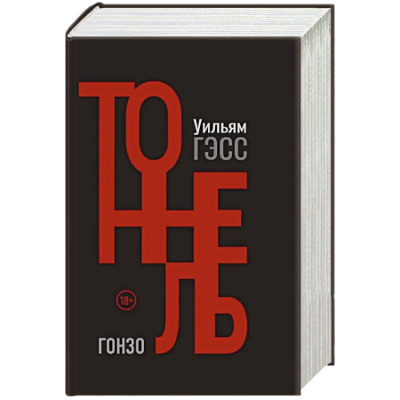 Классика, современная литература, книга Тоннель