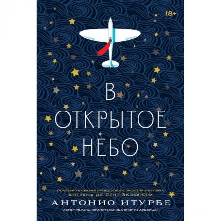 Классика, современная литература, книга В открытое небо