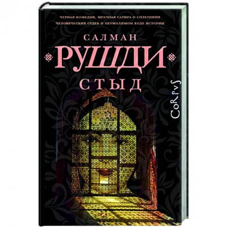 Классика, современная литература, книга Стыд