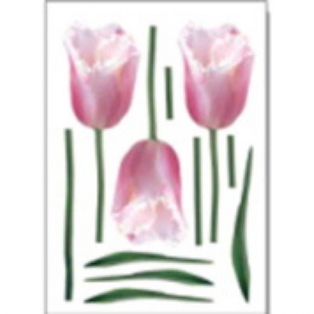 Книги, книга Наклейки для интерьера 'Тюльпаны' (HD-1004)