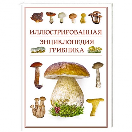 Охота. Рыбалка. Собирательство, книга Иллюстрированная энциклопедия грибника.