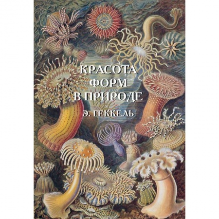 Естественные науки, книга Красота форм в природе